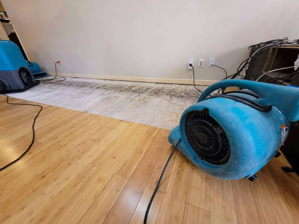 Professional Water Damage Repair technician working in North Ridgeville, OH